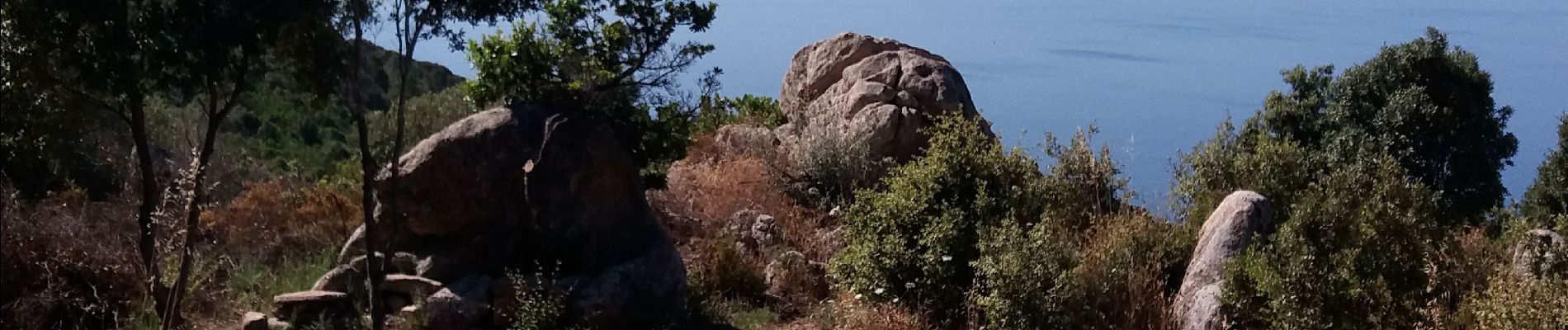 Trail Walking Ajaccio - sentier des crêtes ajaccio - Photo