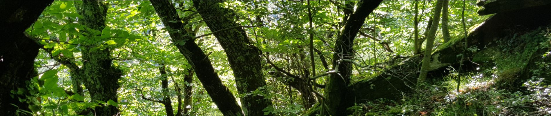 Randonnée Marche nordique Riols - Langlade Saut de Vésole  - Photo