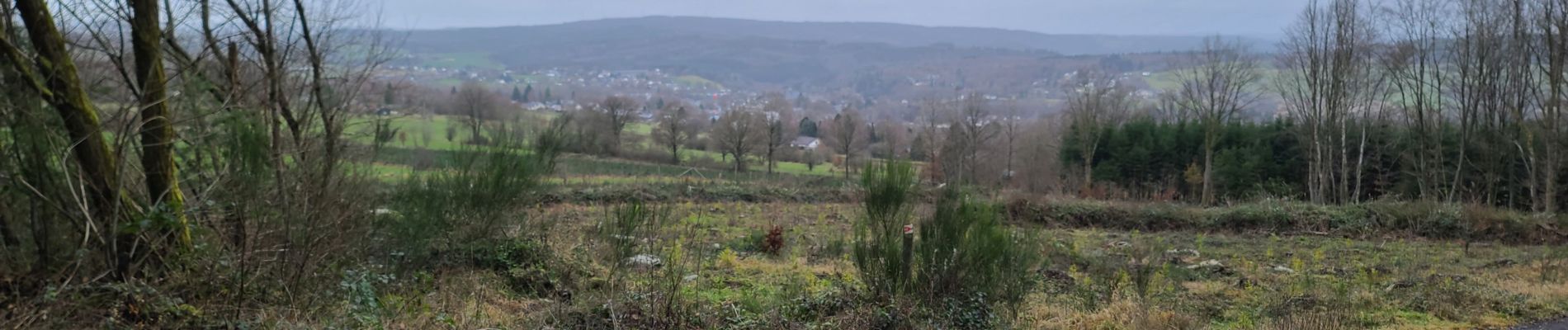 Tocht Stappen Vielsalm - vielsalm - Photo