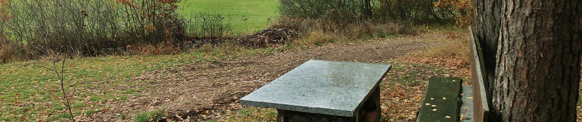 Percorso A piedi Emtmannsberg - Speichersdorf Rundwanderweg Nr . 4 - Photo