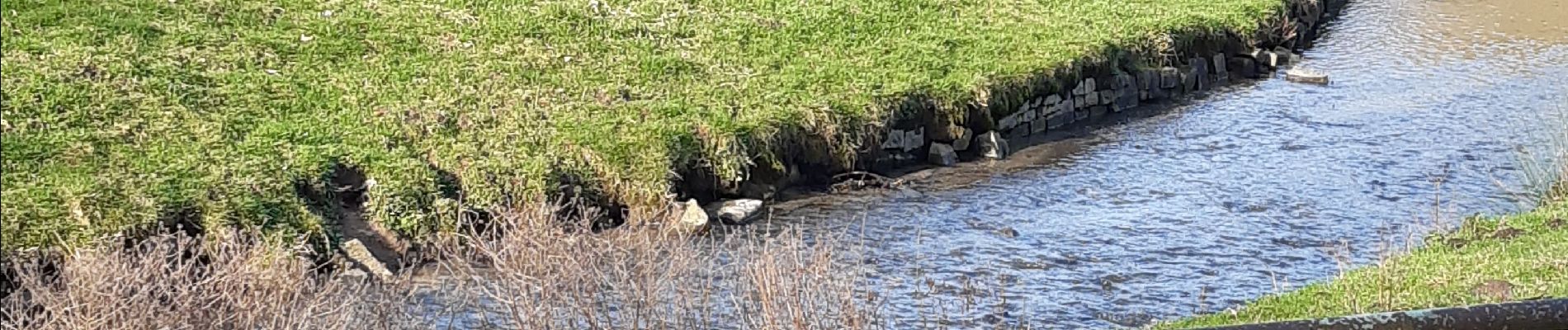 Tocht Stappen Havelange - shawis-st lambert-st fontaine-le roua-havelange - Photo