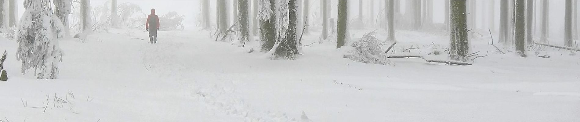 Randonnée A pied Hilscheid - Traumschleife Gipfelrauschen - Photo