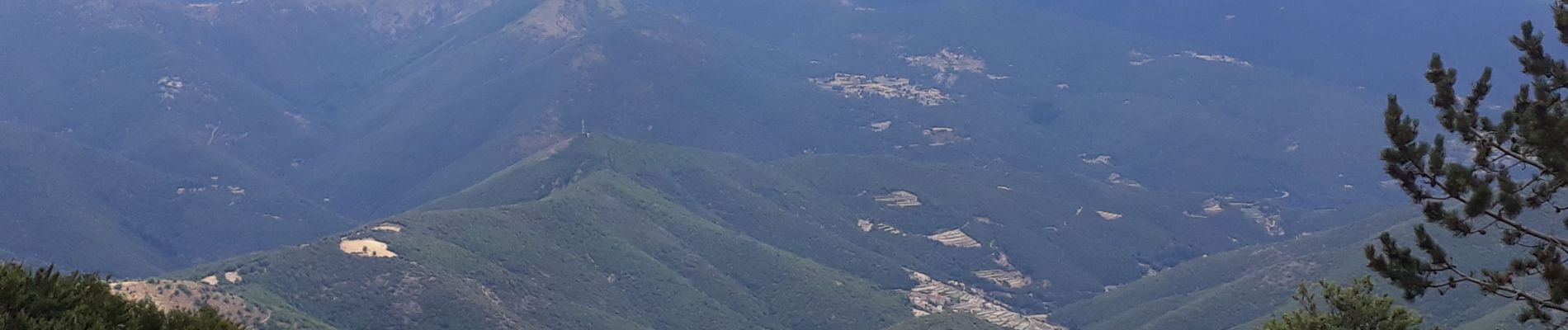 Trail Walking Val-d'Aigoual - cascades orgon - Photo