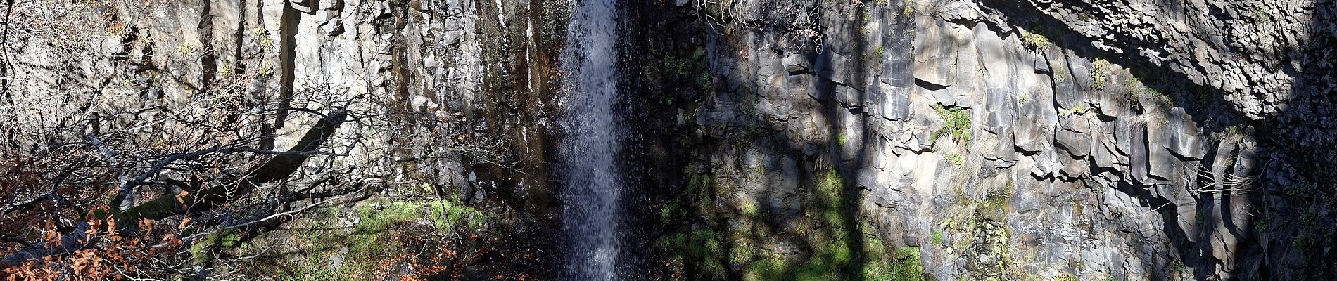 Percorso A piedi Égliseneuve-d'Entraigues - La cime des pres - Photo