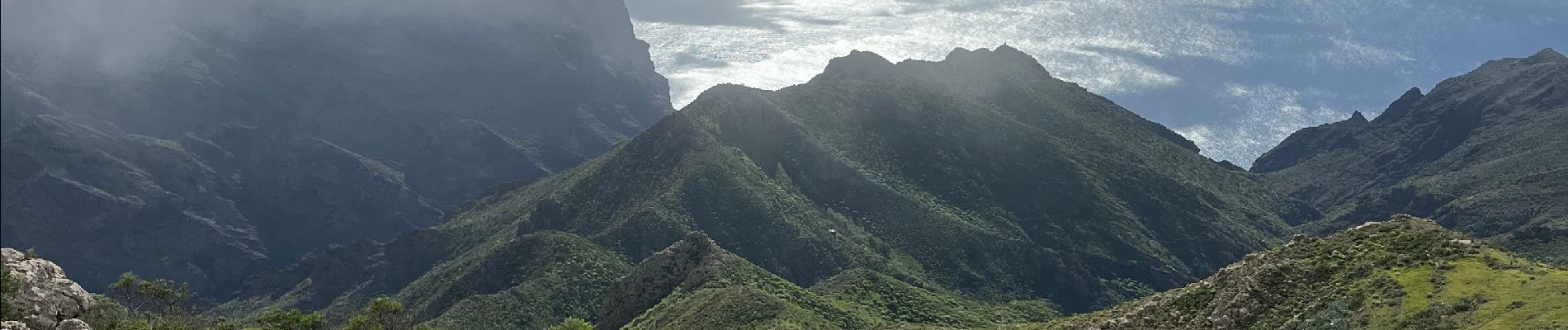 Randonnée Marche Buenavista del Norte - Teno Alto  - Photo