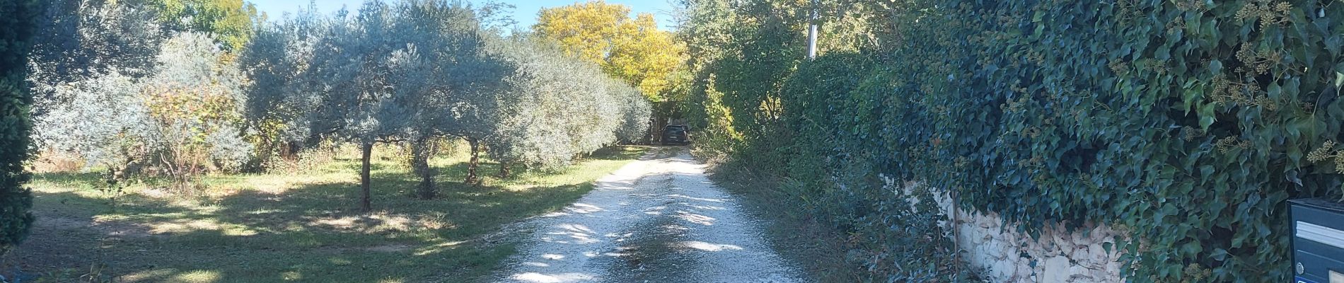 Trail Walking Pernes-les-Fontaines - Pernes Vaucluse lolo - Photo