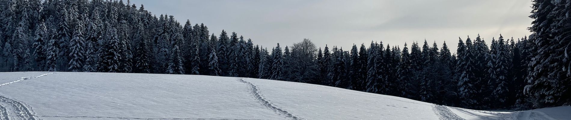 Randonnée Marche Haut Valromey - Lachat  - Photo