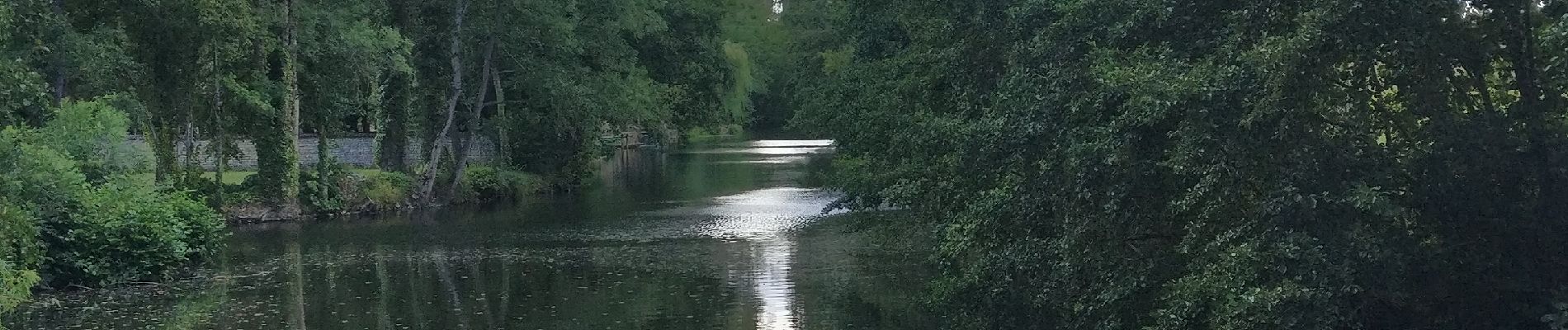 Tour Wandern Chauray - 2022-08-17 Vers François - Photo