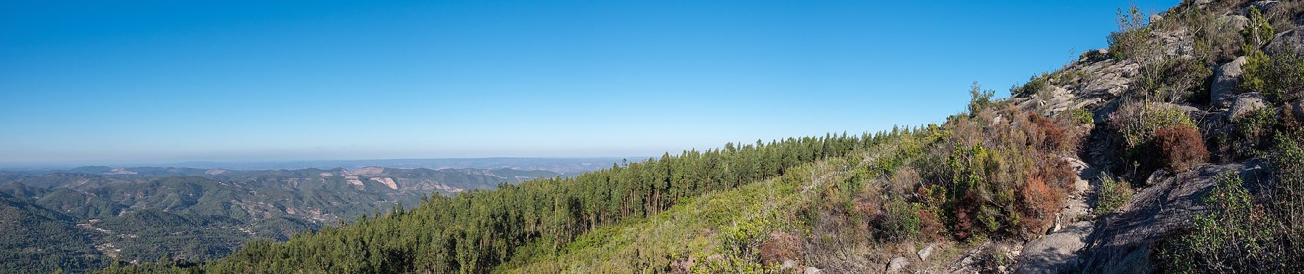 Tocht Te voet Monchique - Caminho das Caldas - Picota - Photo