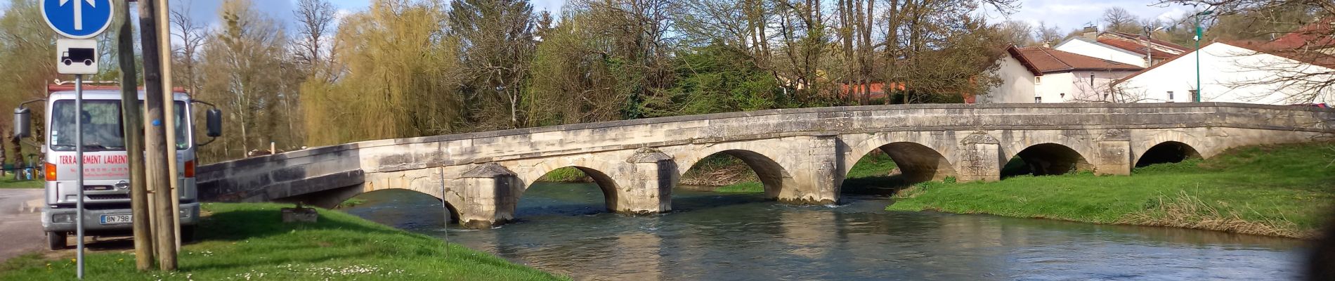 Excursión Senderismo Beurey-sur-Saulx - beurrey la taille jacquemin - Photo