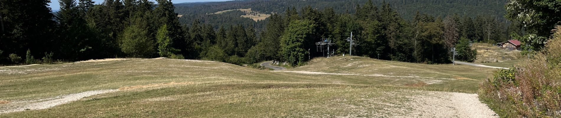 Excursión Senderismo Gex - Balade à Col de la Faucille, Gex - Photo