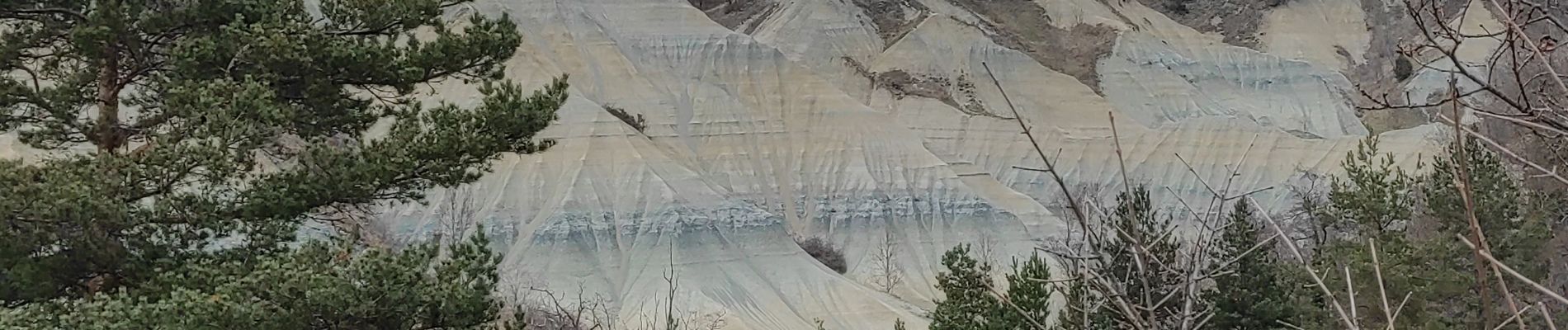 Tocht Stappen Rosières - la Galoche et le ravin de Corboeuf - Photo