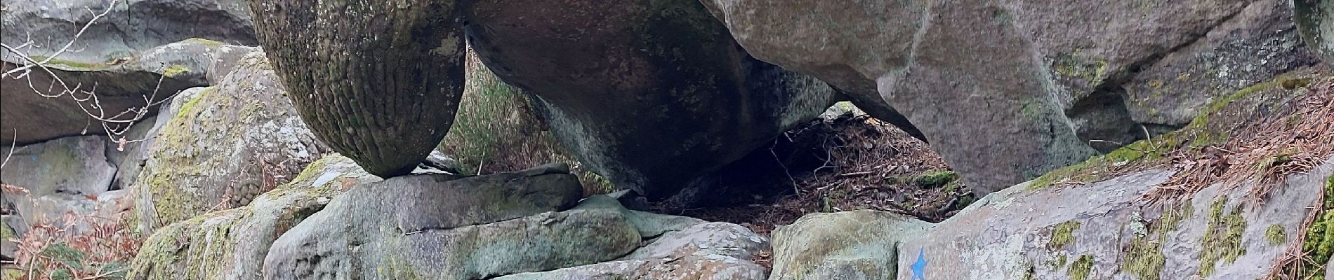 Point of interest Fontainebleau - Unnamed POI - Photo