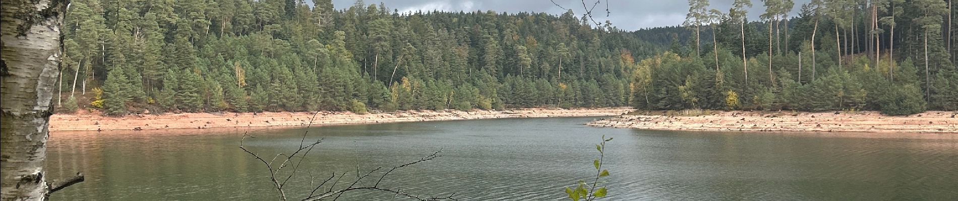 Excursión  Pexonne - Lac de pierre percée  - Photo