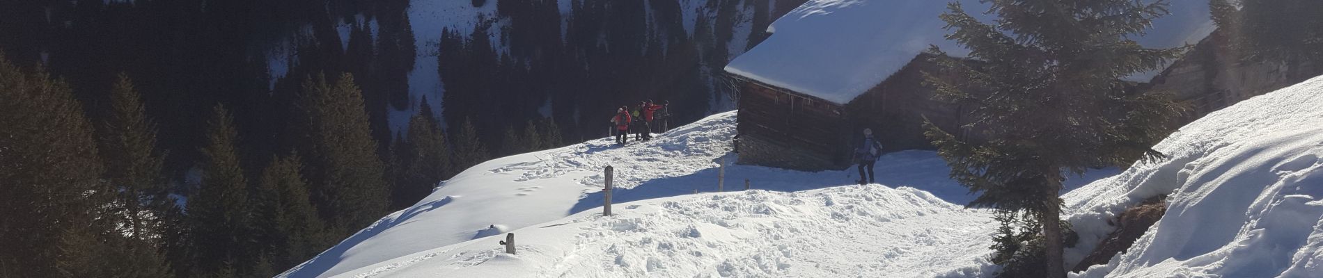 Trail Walking Notre-Dame-de-Bellecombe - mont Rond ND de Bellecombe - Photo