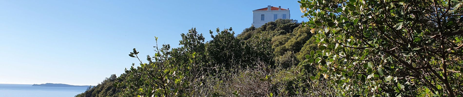 Randonnée Marche Cavalaire-sur-Mer - cavalaire le rayol par le dattier retour par malatra - Photo