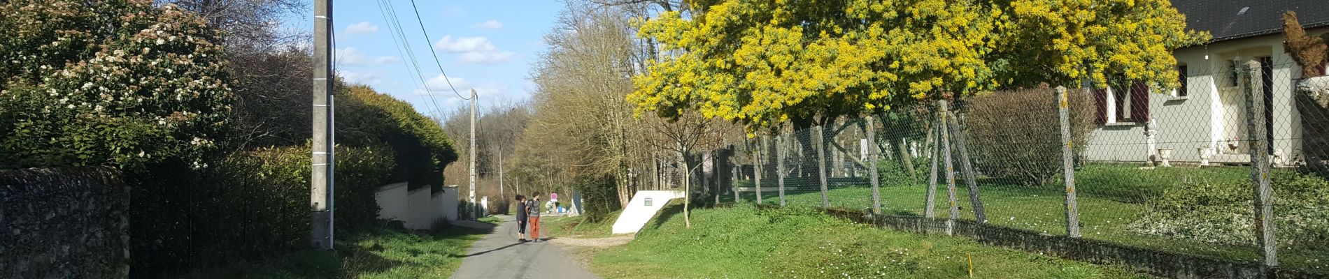 Tour Angeln Tours - Tours Sorigny Nadège Paola Véronique Victor Jean François  - Photo