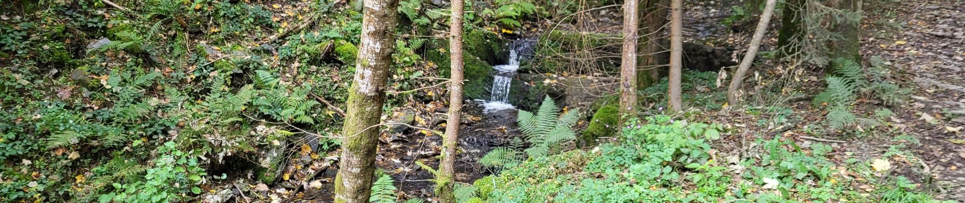 Randonnée Marche Houffalize - Engreux 151023 - Photo