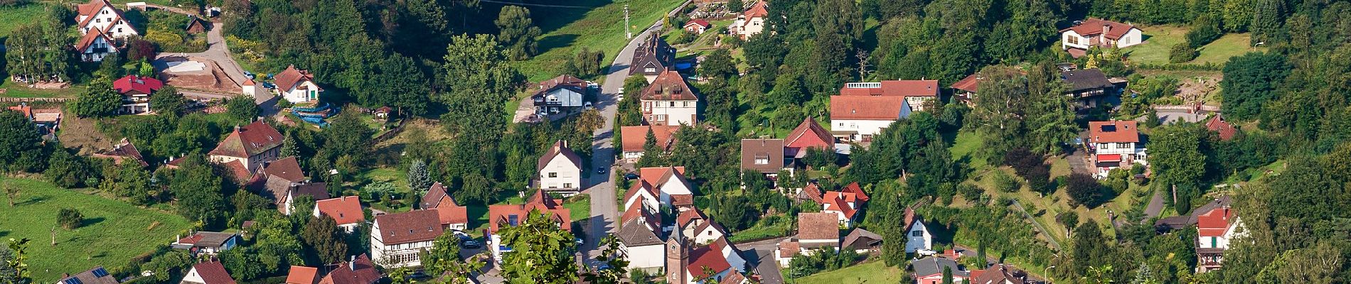 Percorso A piedi Schönau (Pfalz) - Salztrippler-Tour - Photo