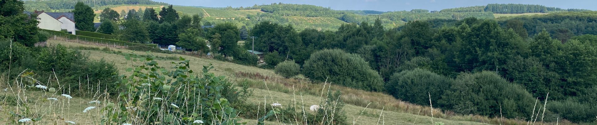 Randonnée Marche Alligny-en-Morvan - Jarnoy chemin du tortillard.  - Photo