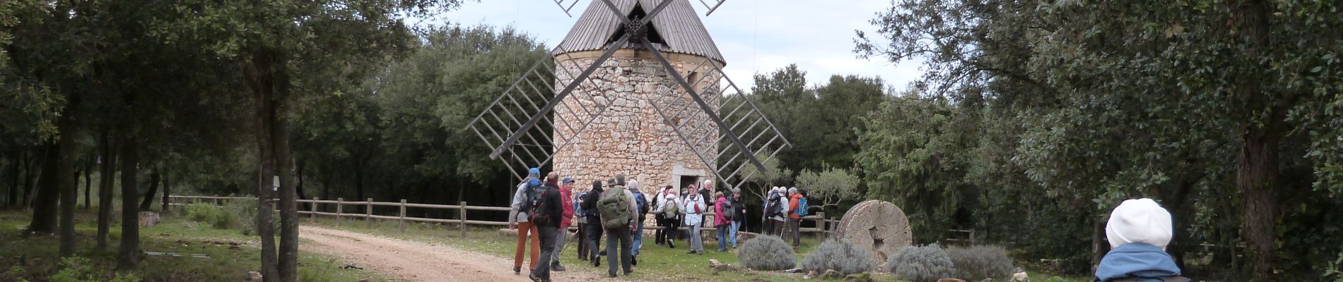 Tocht Stappen La Capelle-et-Masmolène - Masmolène et l'étang de la Capelle - Photo