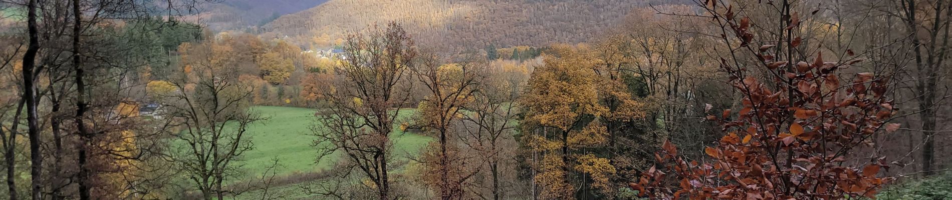 Tour Wandern Vresse-sur-Semois - rando laforêt 24-11-2022 - Photo