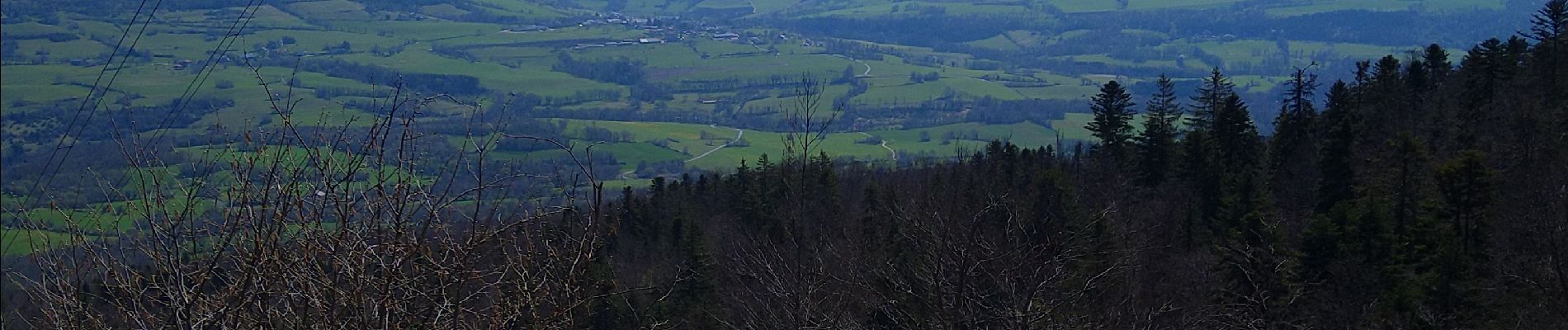 Tour Wandern Plateau d'Hauteville - Ferme Guichard  - Photo