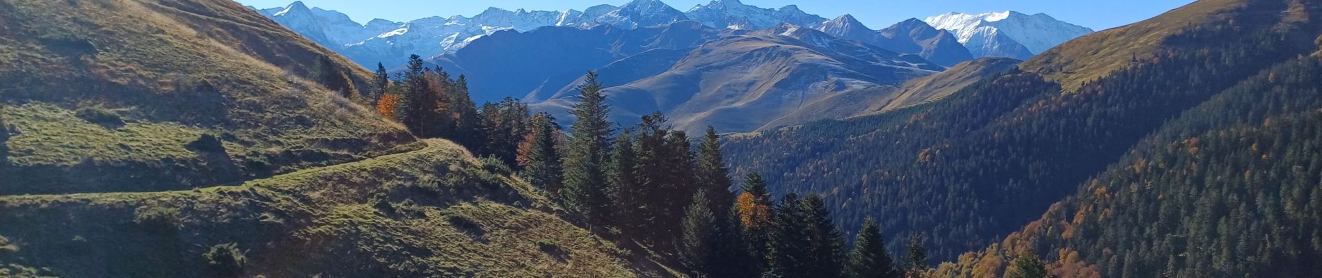 Excursión Senderismo Portet-de-Luchon - sommet de Pouy Louby en boucle depuis Portet de Luchon  - Photo