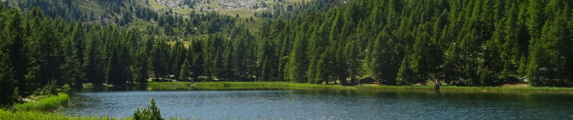 Tocht Stappen Le Lauzet-Ubaye - Lac Noir Aller - Retour depuis Lauze - Ubaye (21*08*2021) - Photo