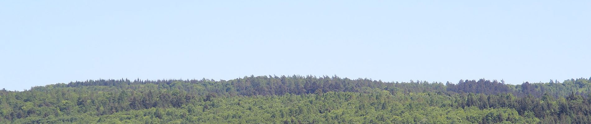 Percorso A piedi Freigericht - Spessartspuren - Somborner Hügelland-Spur - Photo