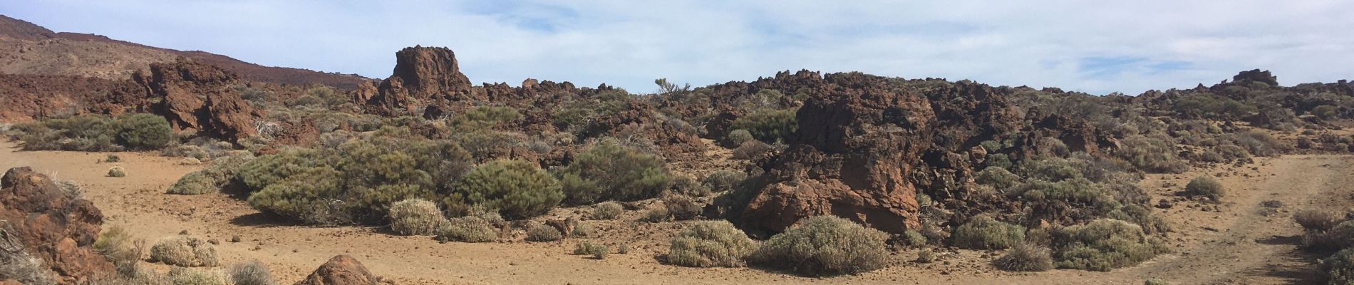 Randonnée Marche La Orotava - Teide - Photo