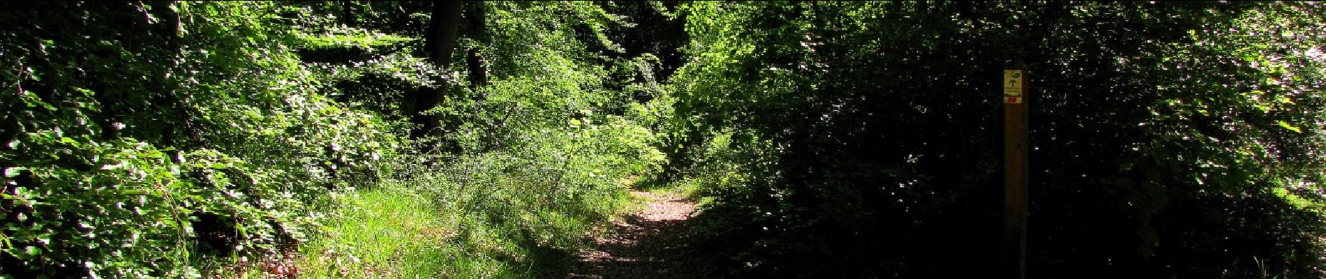 Point d'intérêt Trosly-Breuil - Point 23 - Photo