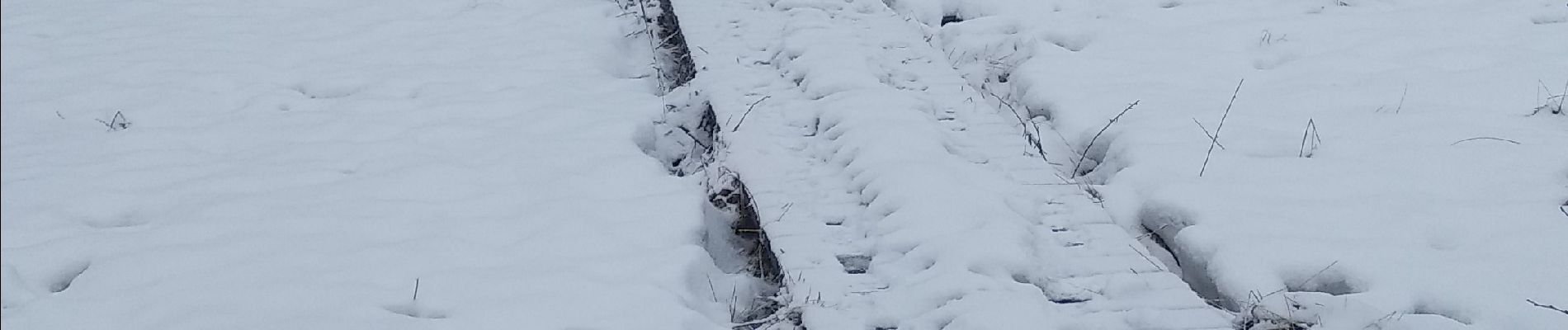 Tocht Stappen Büllingen - Weisser Stein - Photo