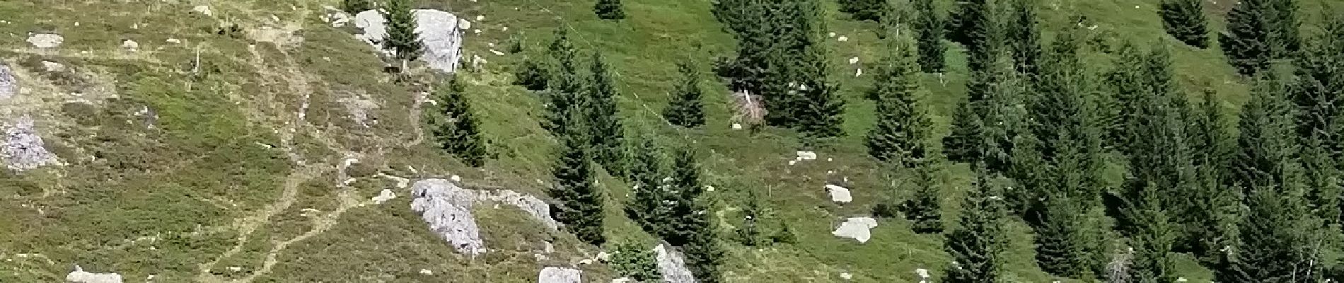 Percorso Marcia Naters - De Belalp à Nessel par le bisse de Nessjeri - Photo