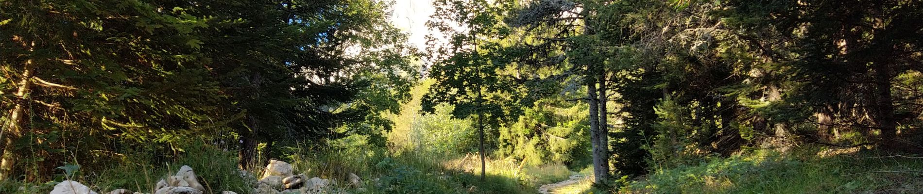 Tour Wandern Gresse-en-Vercors - Le Grand-Veymont  - Photo