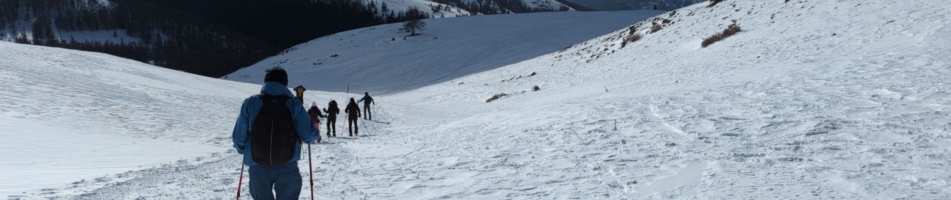 Tour Schneeschuhwandern Roubion - col de la Couillon - Tournerie - Photo