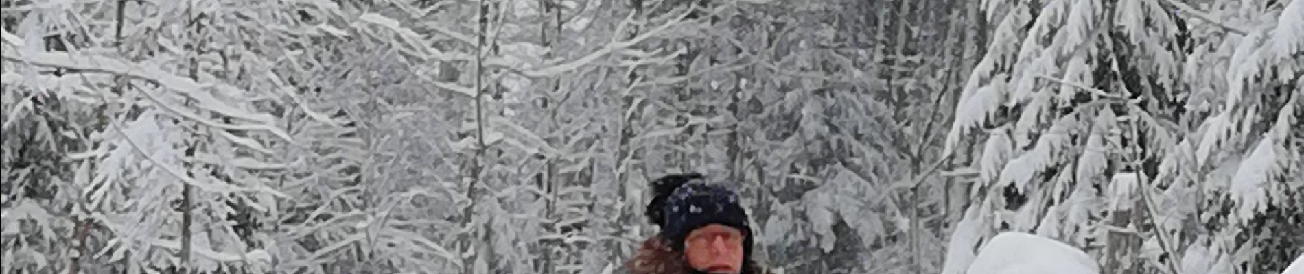 Tocht Sneeuwschoenen Lenzkirch - raquette - Photo