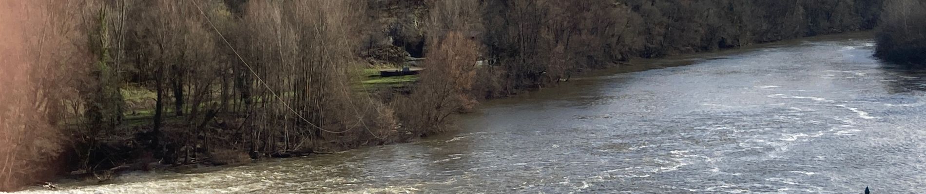 Randonnée Marche Saint-Géry-Vers - Nouaillac les bois noirs  - Photo