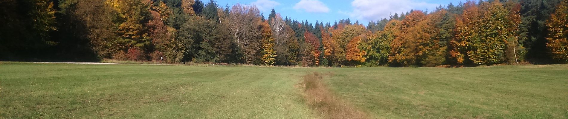 Trail On foot Bischbrunn - Roter Hase, Rundwanderweg am Torhaus Aurora - Photo