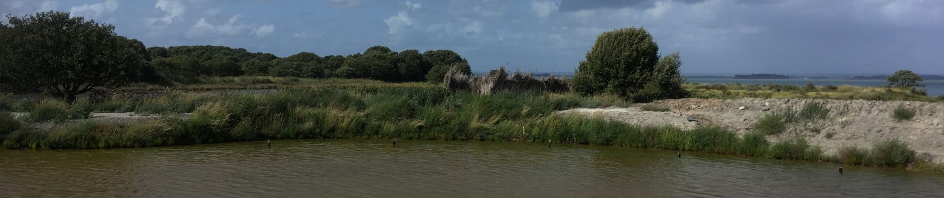 Excursión Senderismo Sarzeau - 2019-08-10 GR34 GOLFE DU MORBIHAN CÔTIER  AUTOUR  DE SARZEAU - Photo