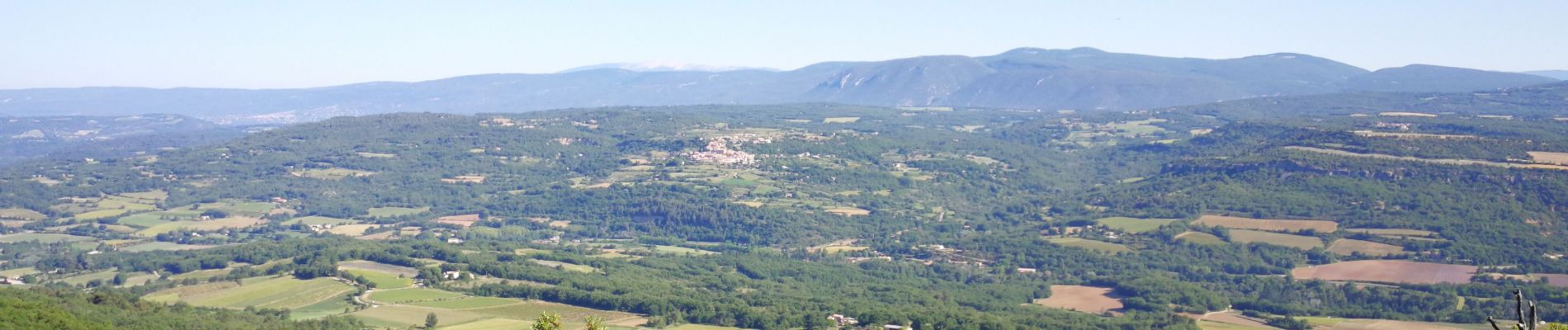 Tour Wandern Castellet-en-Luberon - Mourre du Grd Lubéron, crêtes et versant Nord  - Photo