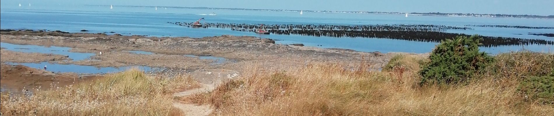 Tour Wandern Pénestin - la mer à Penestin - Photo