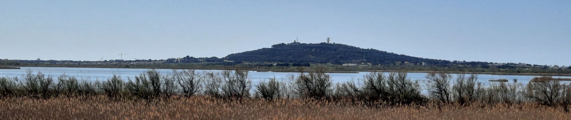 Tour Mountainbike Agde - Blagnas - Photo