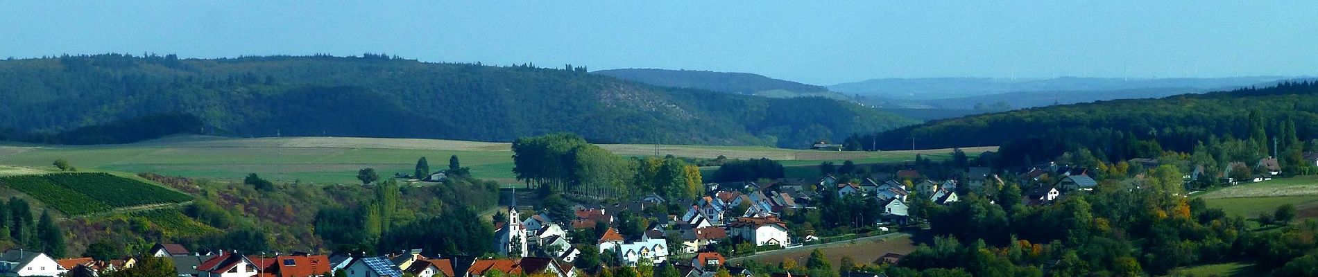 Tour Zu Fuß Feilbingert - Panoramaweg Feilbingert - Photo