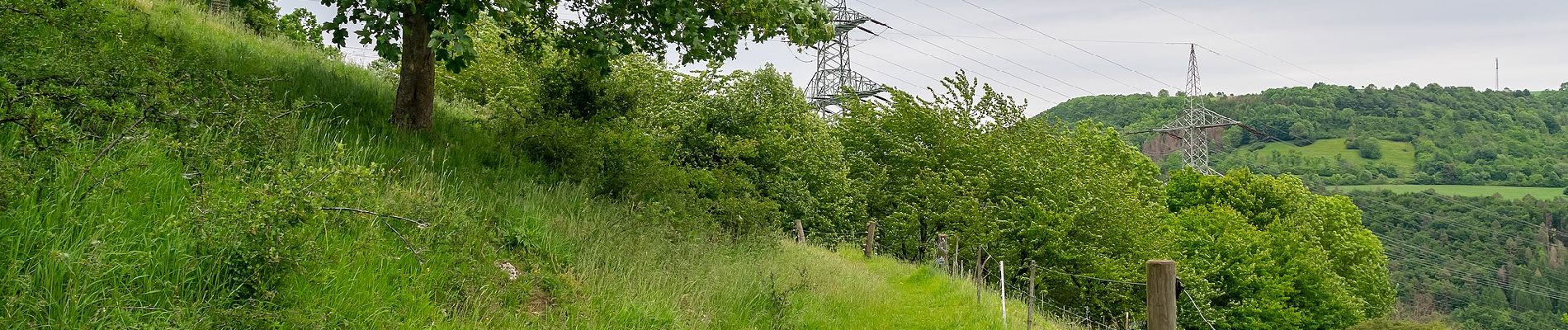 Tour Zu Fuß Beverungen - Erlesene Natur - Wo der Bock zum Gärtner wird - Photo