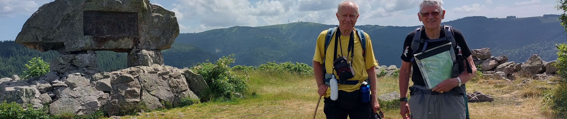 Trail Walking Hinterzarten - Alsbach - Photo