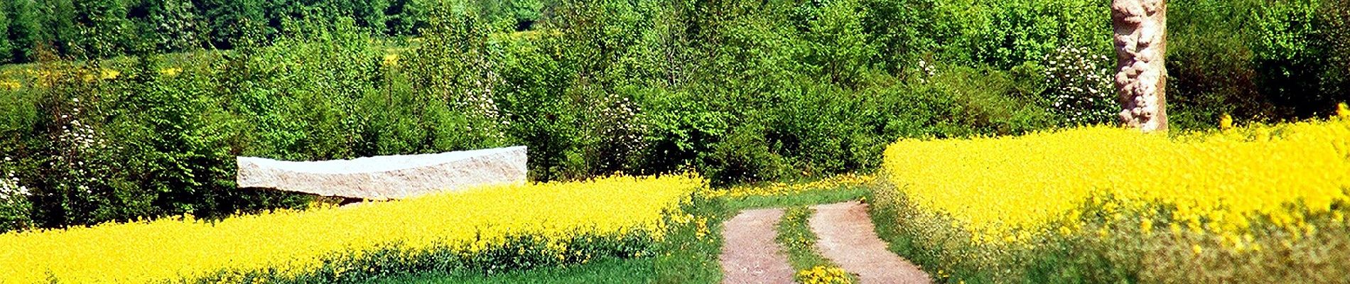 Percorso A piedi Mettlach - Gustav-Regler-Weg - Photo