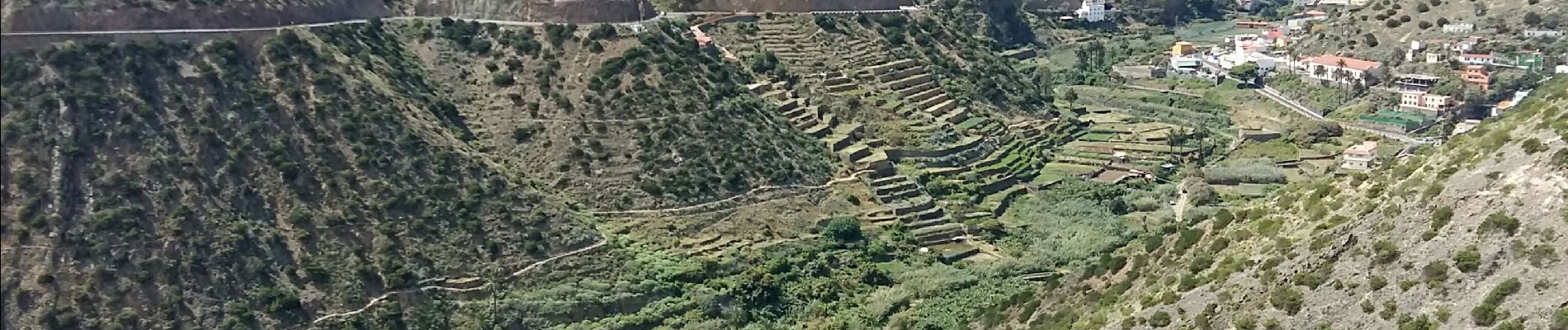 Excursión Senderismo Vallehermoso - La Gomera - Valhermoso Santa Clara (4) 8/5/2019 - Photo