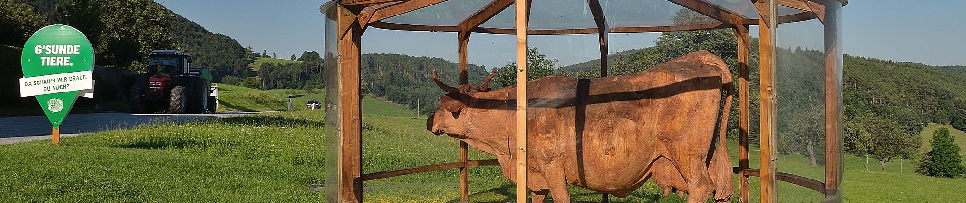 Randonnée A pied Gemeinde Prigglitz - Heinrichshöhe - Zwickl Marterl Rundweg - Photo