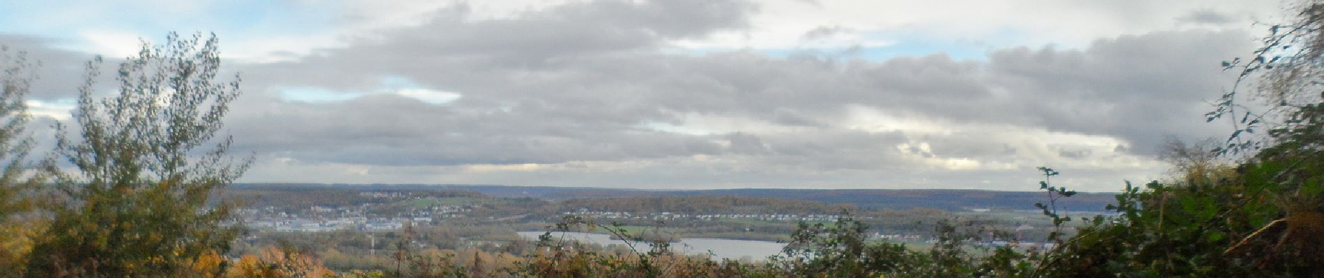 Randonnée Marche Orival - 20221117-Les Essarts  - Photo